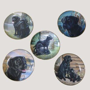Labrador Retriever Collectible Franklin Mint Decorative Plates Set Of 5